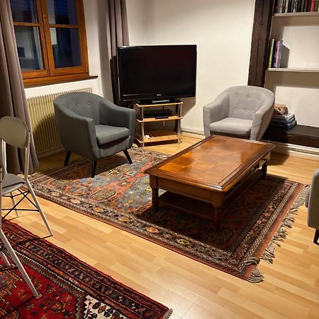 Appartement Authentique Centre Historique コルマール エクステリア 写真