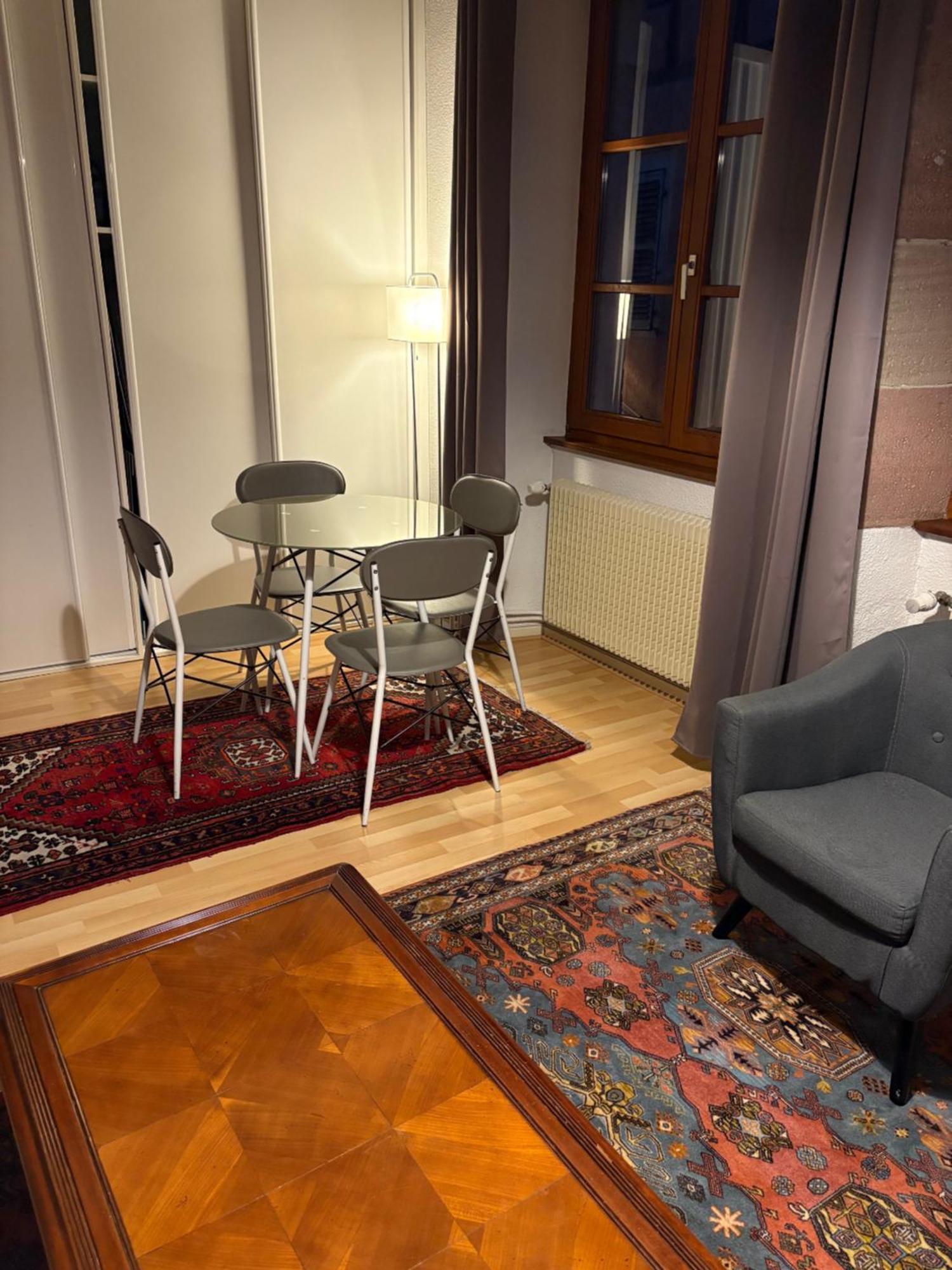 Appartement Authentique Centre Historique コルマール エクステリア 写真