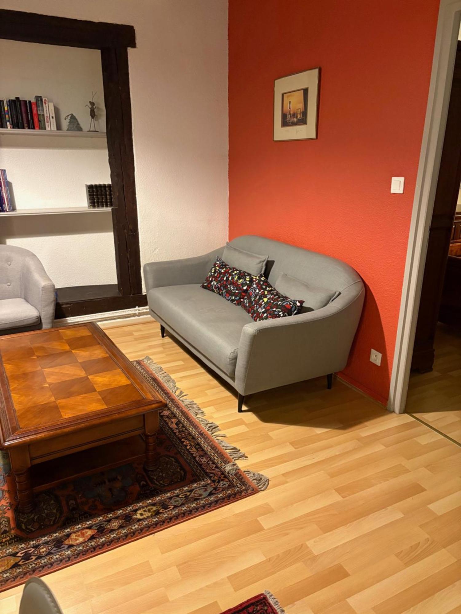 Appartement Authentique Centre Historique コルマール エクステリア 写真